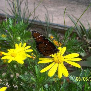 Meet your Posher, Beverly